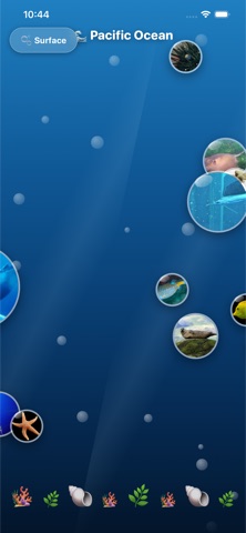 Ocean world with sea creatures